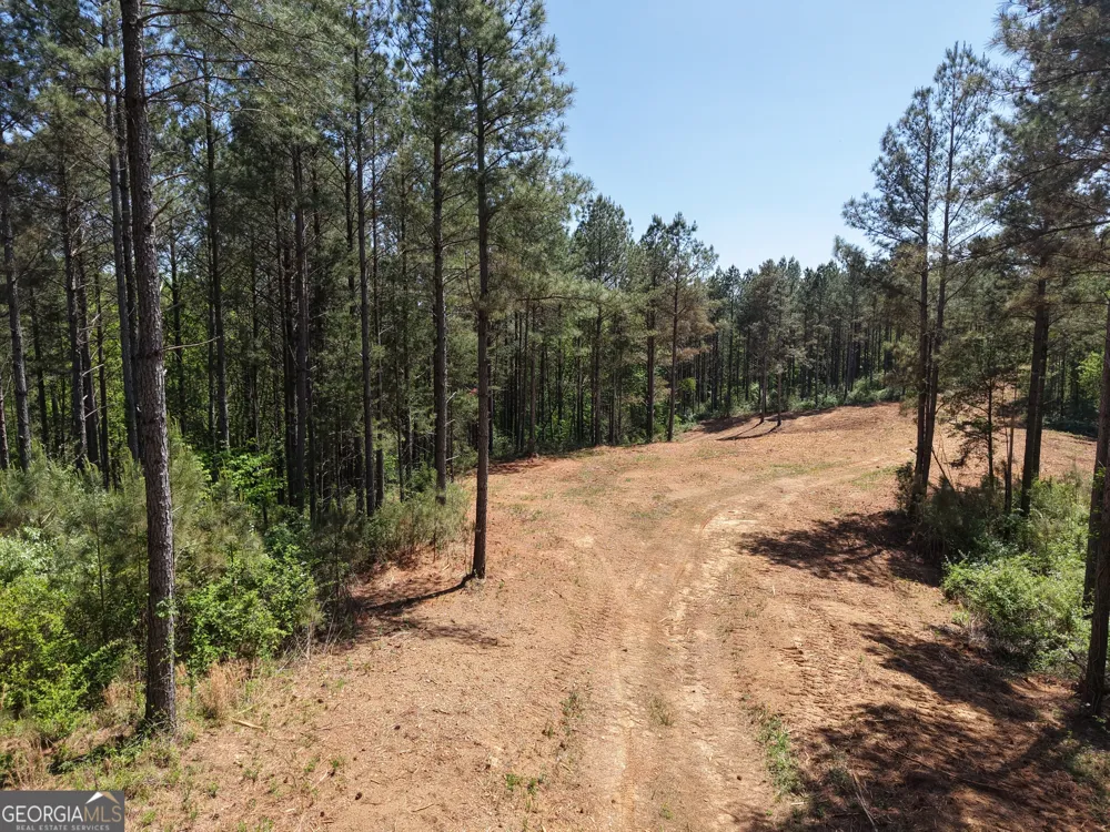 0 Ryo Mountain RD Fairmount, GA 30139
