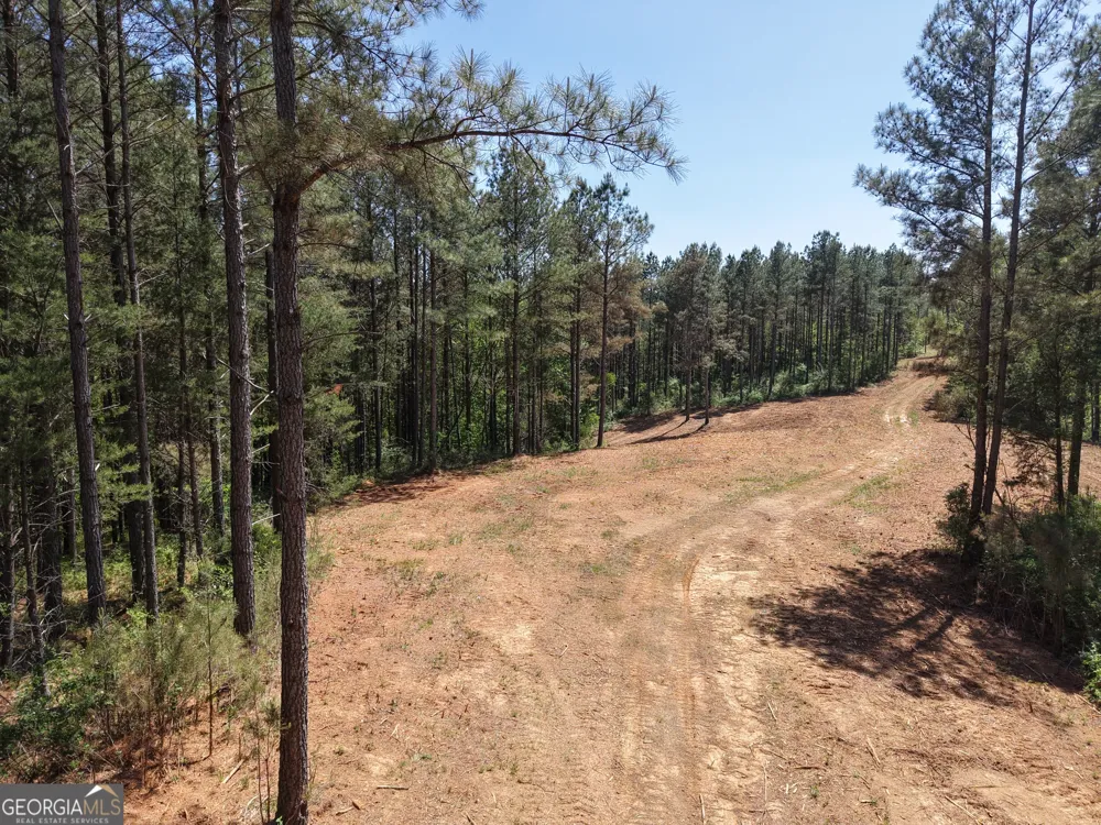 0 Ryo Mountain RD Fairmount, GA 30139