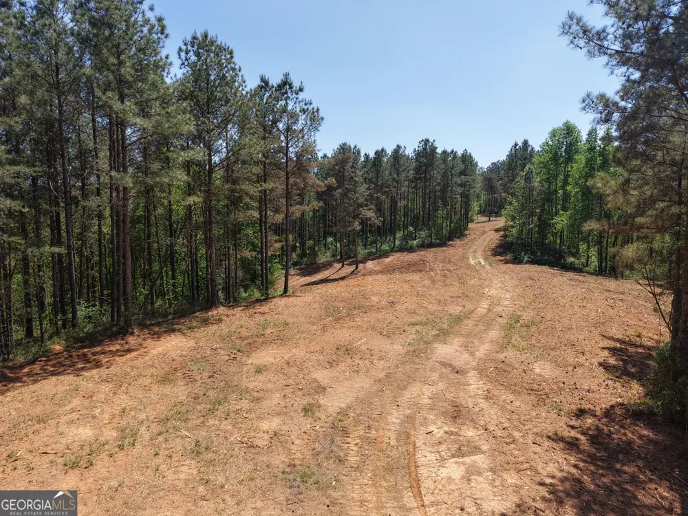 0 Ryo Mountain RD Fairmount, GA 30139