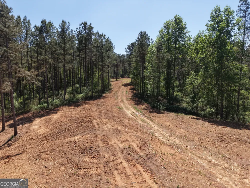 0 Ryo Mountain RD Fairmount, GA 30139