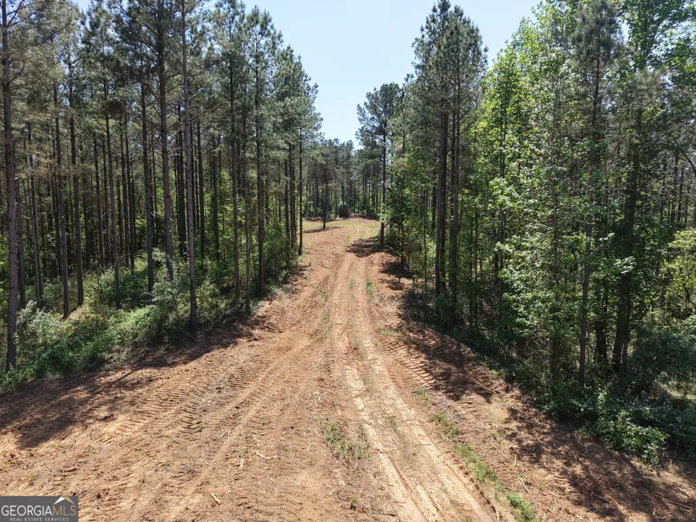 0 Ryo Mountain RD Fairmount, GA 30139