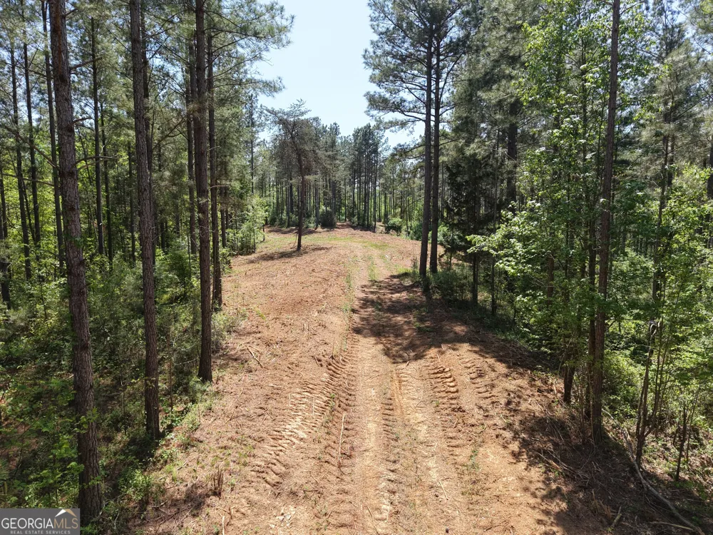 0 Ryo Mountain RD Fairmount, GA 30139