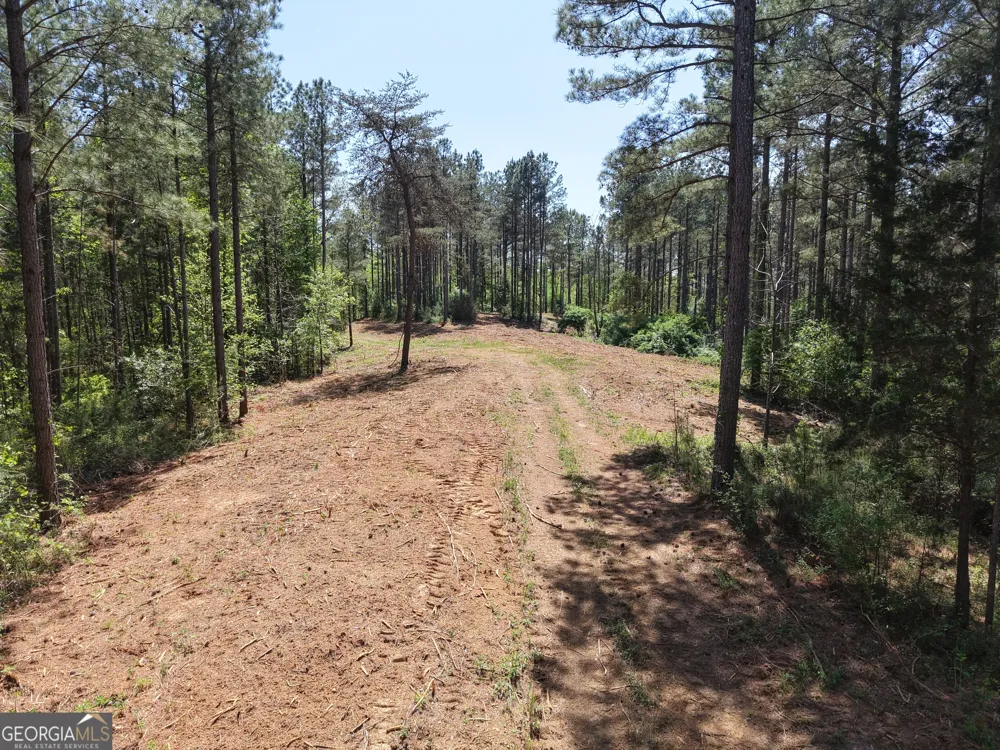 0 Ryo Mountain RD Fairmount, GA 30139