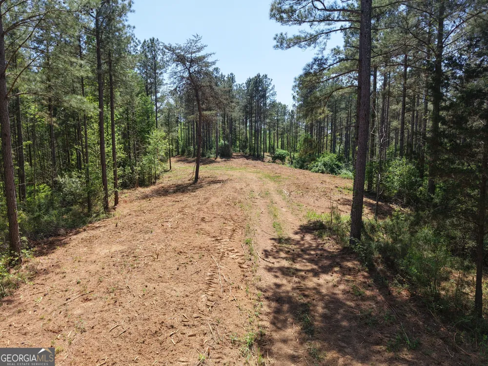 0 Ryo Mountain RD Fairmount, GA 30139