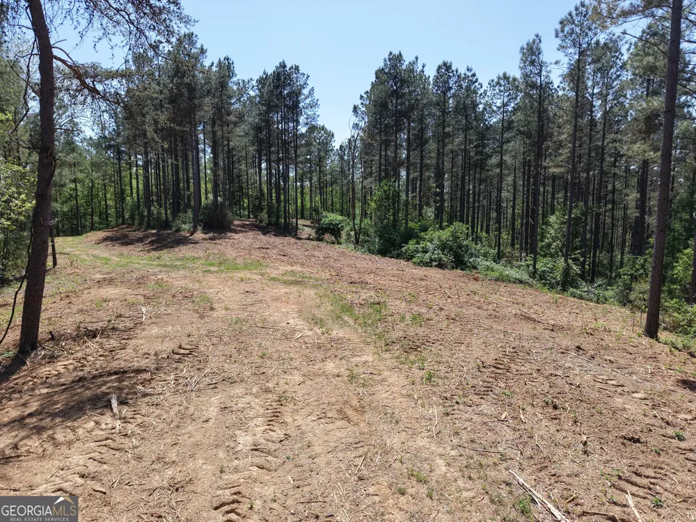 0 Ryo Mountain RD Fairmount, GA 30139