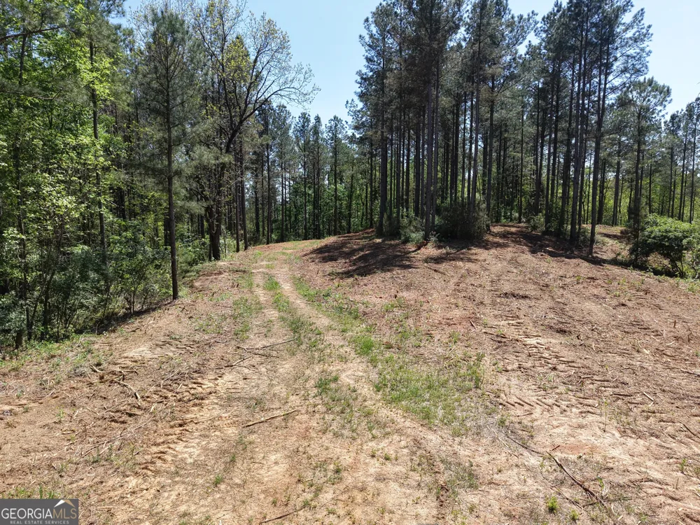 0 Ryo Mountain RD Fairmount, GA 30139