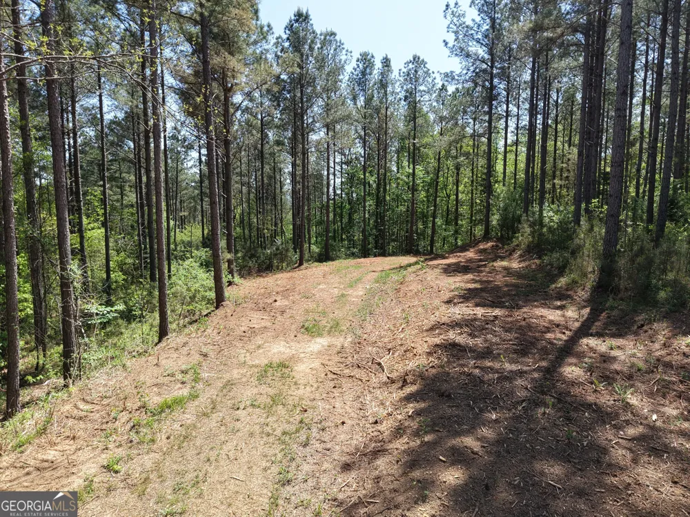 0 Ryo Mountain RD Fairmount, GA 30139
