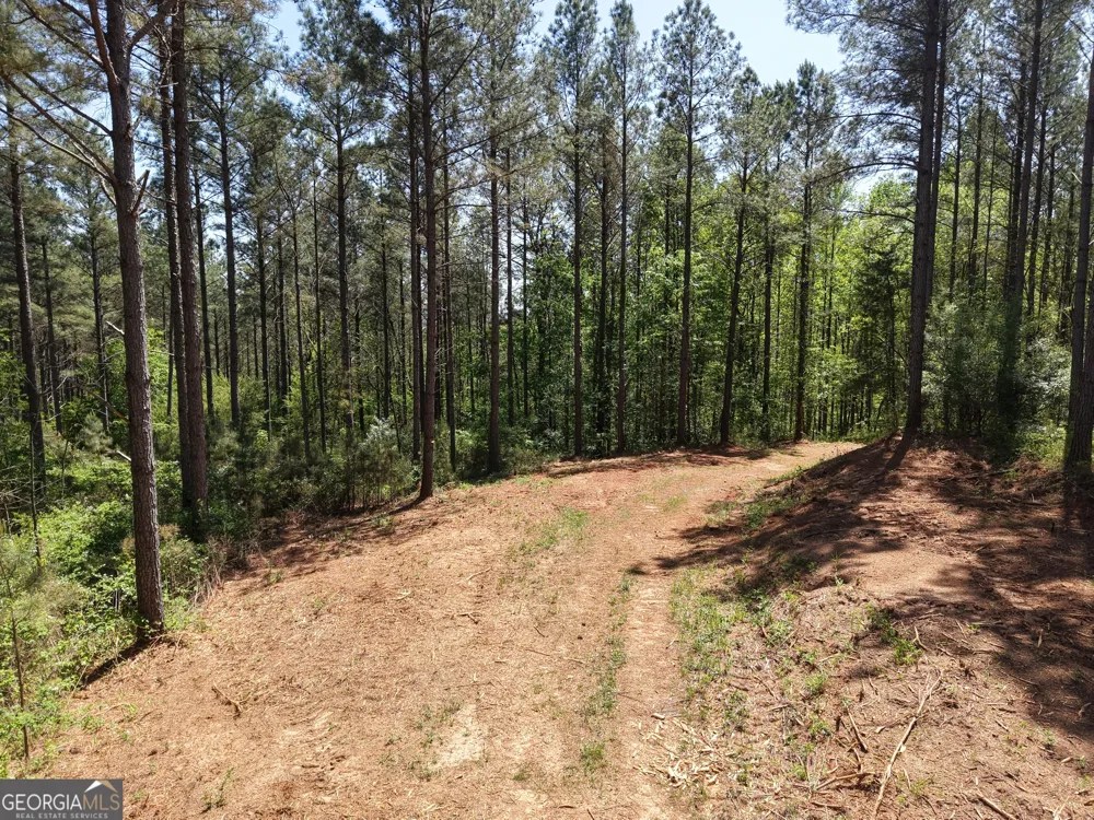 0 Ryo Mountain RD Fairmount, GA 30139
