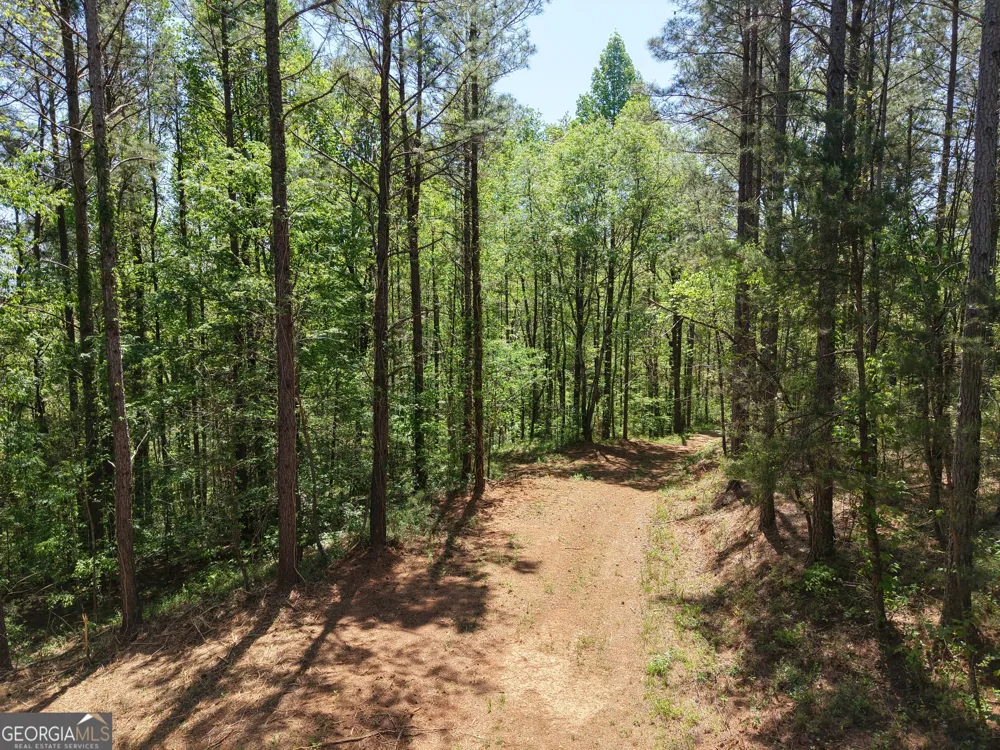 0 Ryo Mountain RD Fairmount, GA 30139