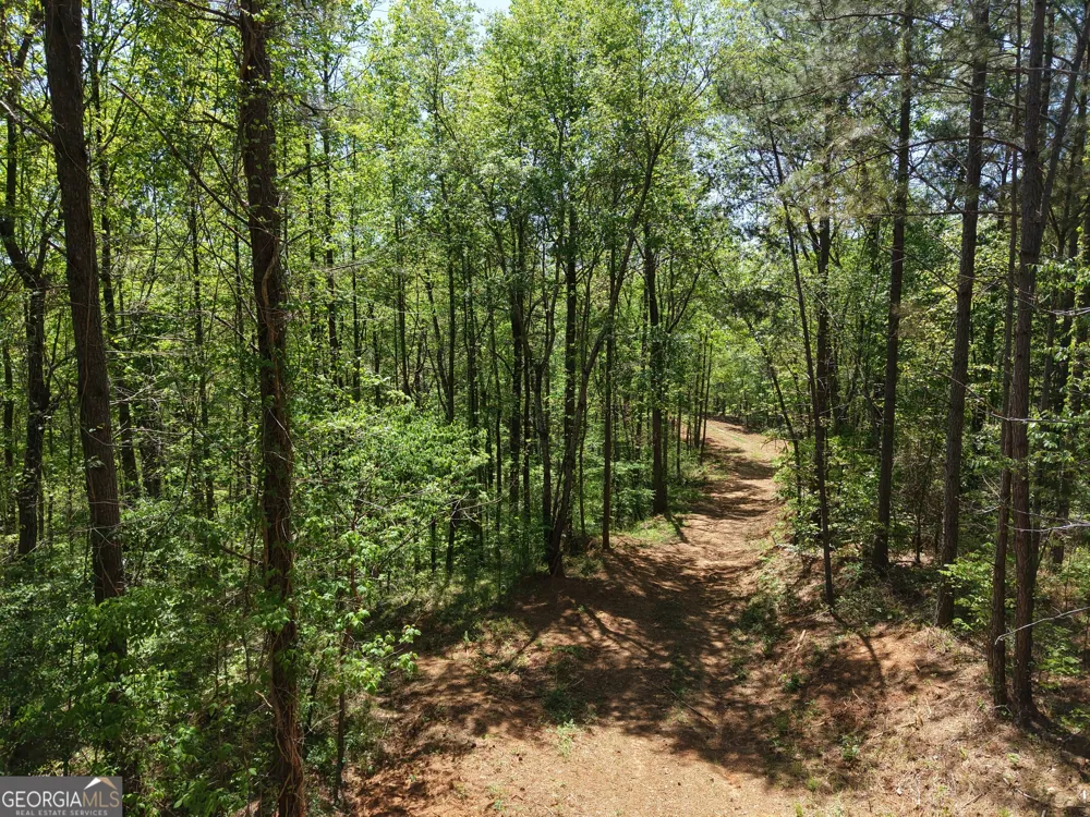 0 Ryo Mountain RD Fairmount, GA 30139