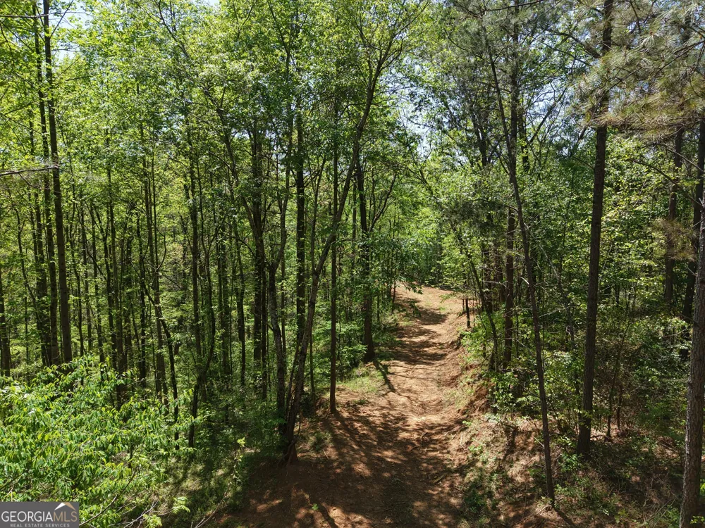 0 Ryo Mountain RD Fairmount, GA 30139