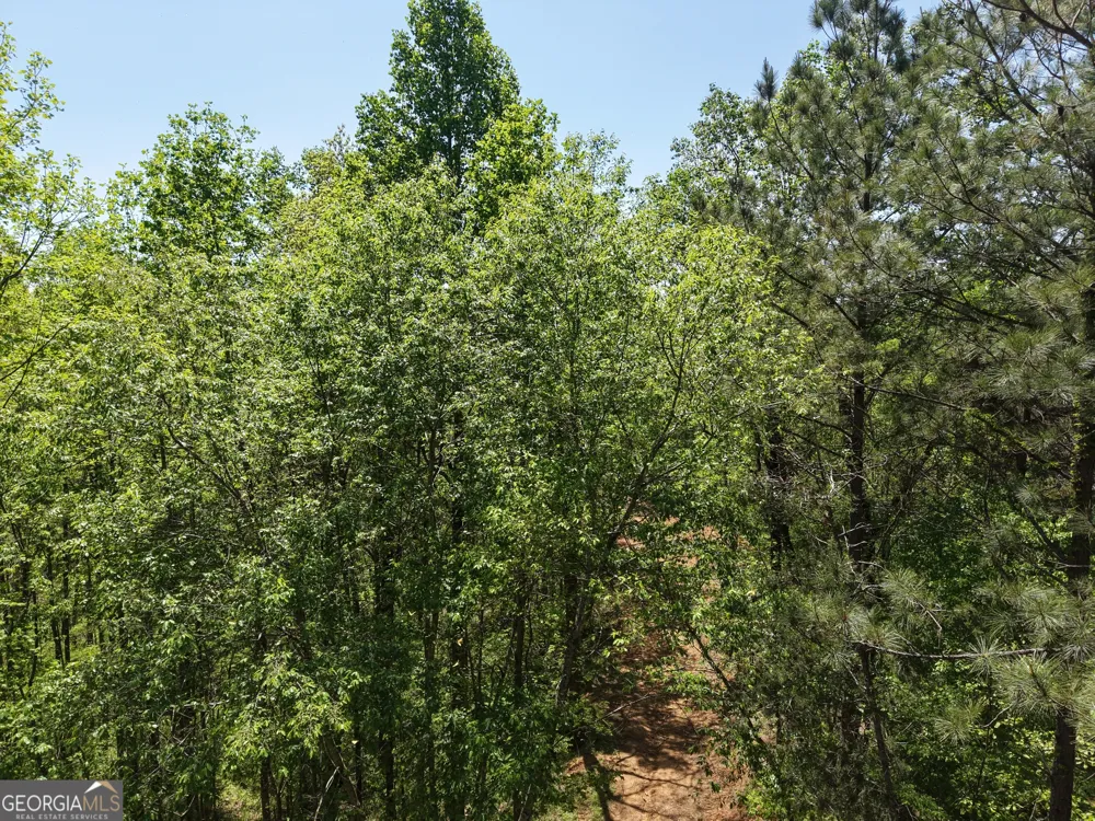 0 Ryo Mountain RD Fairmount, GA 30139
