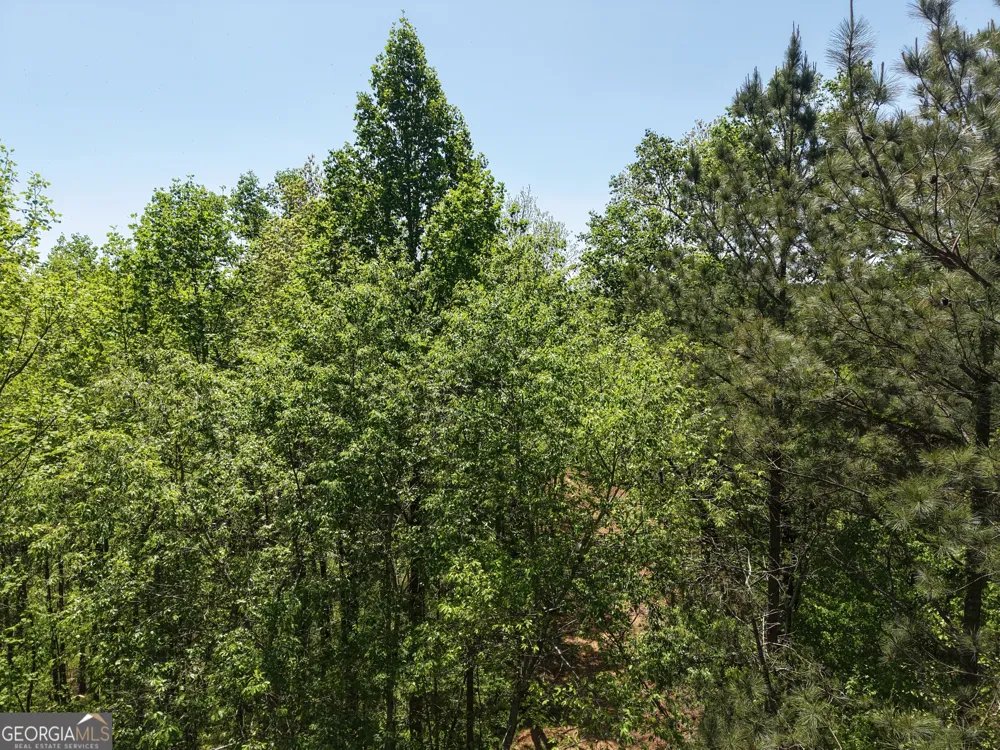 0 Ryo Mountain RD Fairmount, GA 30139