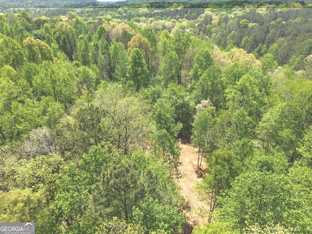 0 Ryo Mountain RD Fairmount, GA 30139