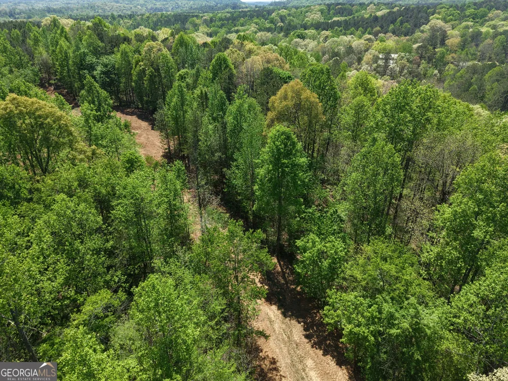 0 Ryo Mountain RD Fairmount, GA 30139