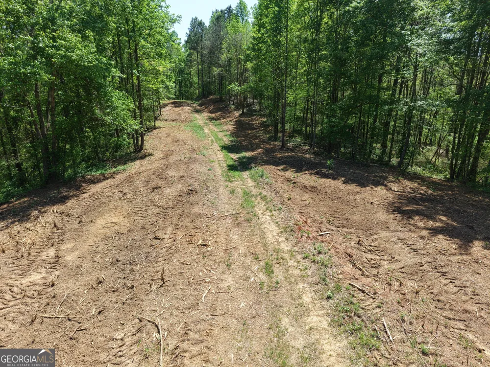 0 Ryo Mountain RD Fairmount, GA 30139