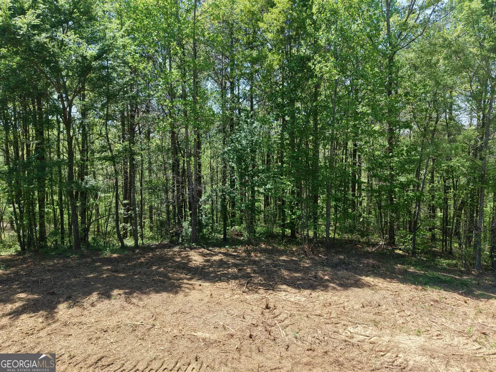 0 Ryo Mountain RD Fairmount, GA 30139