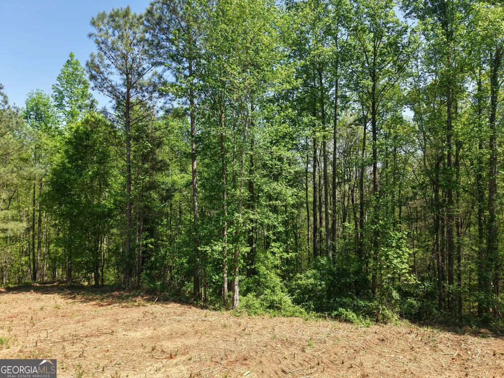 0 Ryo Mountain RD Fairmount, GA 30139