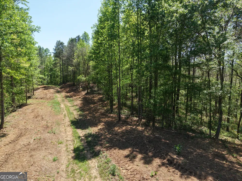 0 Ryo Mountain RD Fairmount, GA 30139