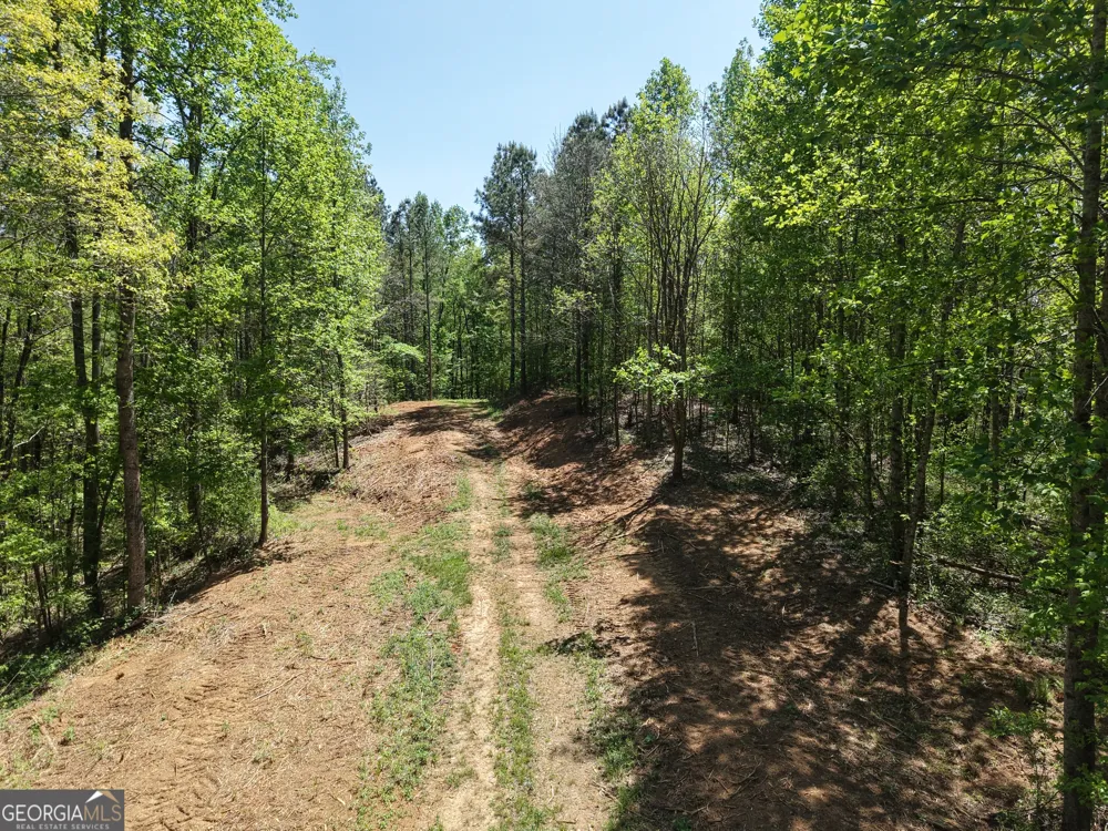 0 Ryo Mountain RD Fairmount, GA 30139