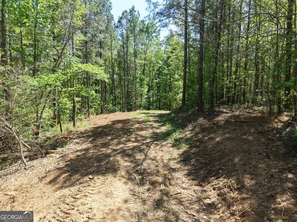 0 Ryo Mountain RD Fairmount, GA 30139