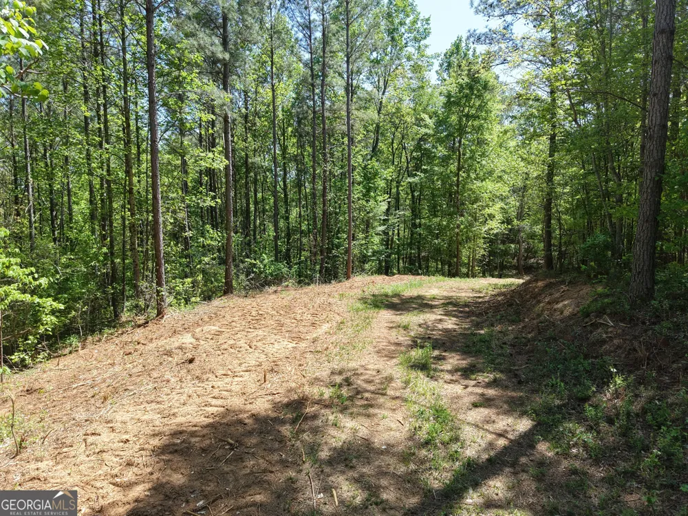0 Ryo Mountain RD Fairmount, GA 30139