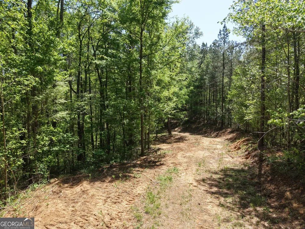 0 Ryo Mountain RD Fairmount, GA 30139