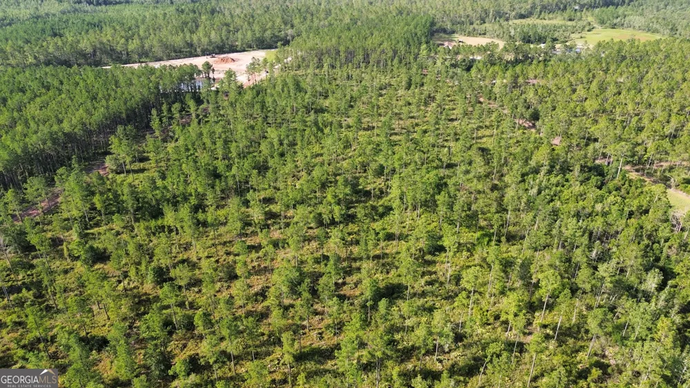 0 Chimney Rock RD White Oak, GA 31568