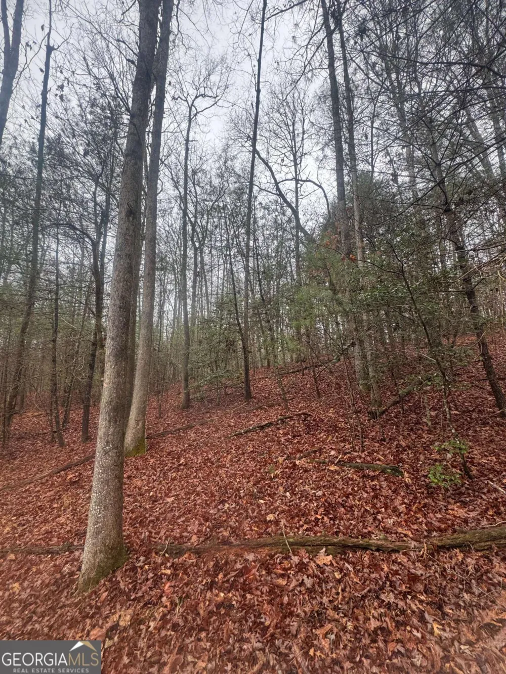0 W Mountaintown TRL Ellijay, GA 30540