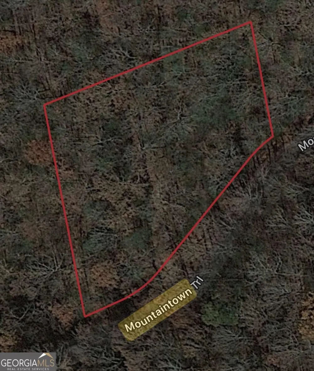 0 W Mountaintown TRL Ellijay, GA 30540