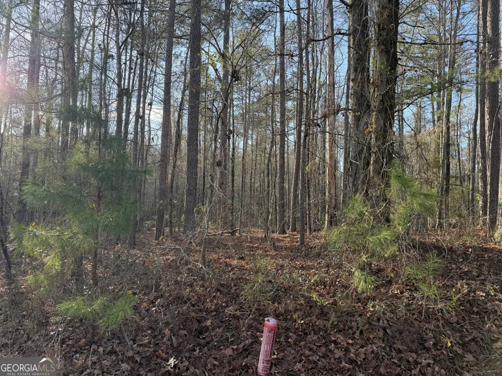 619 & 629 Ivy CT Lanett, AL 36863