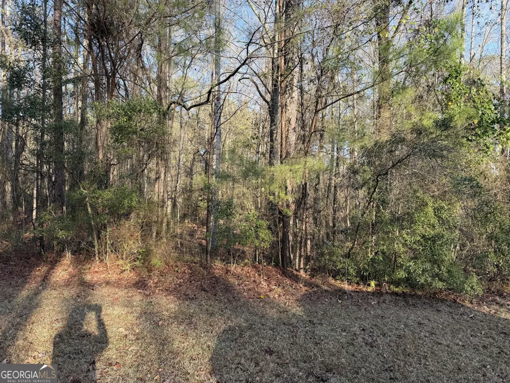619 & 629 Ivy CT Lanett, AL 36863