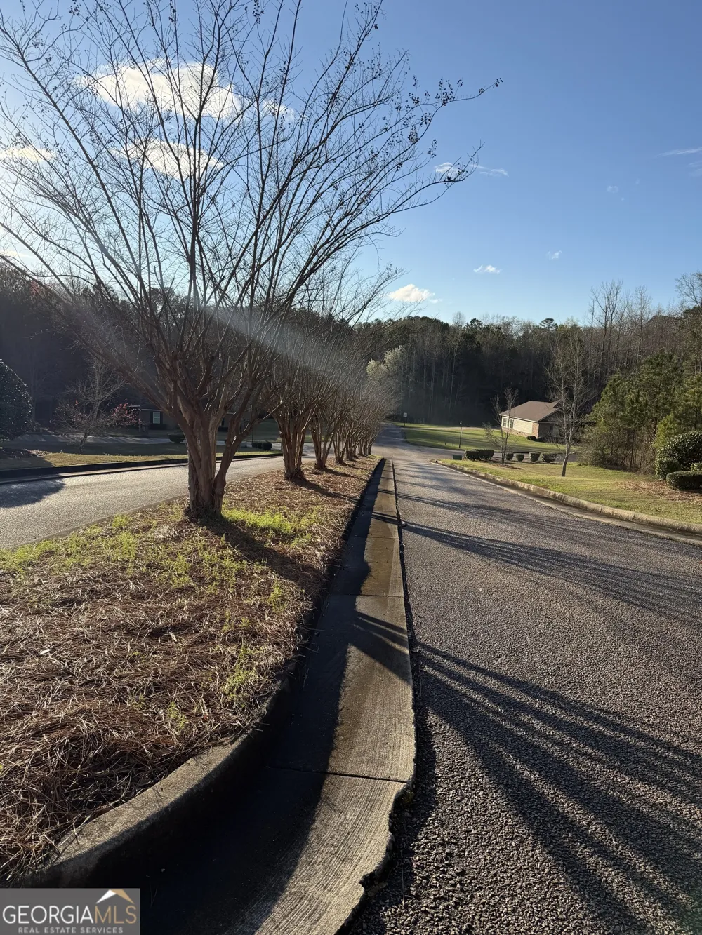 619 & 629 Ivy CT Lanett, AL 36863