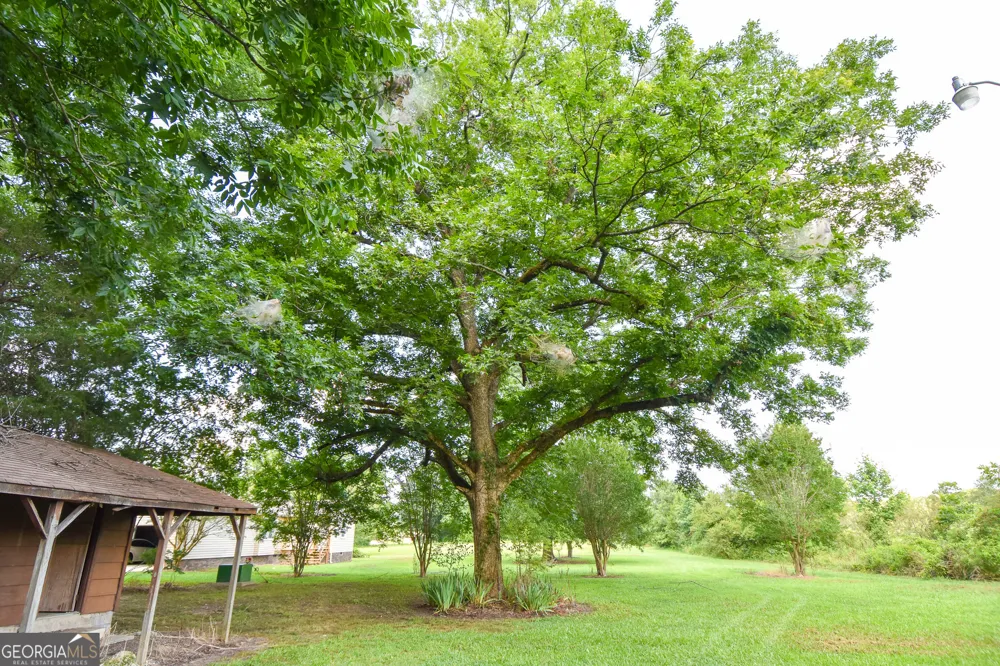 12394 Ga Highway 109 Meansville, GA 30256