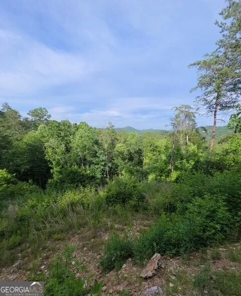 95 Ridgeline LN Mineral Bluff, GA 30559