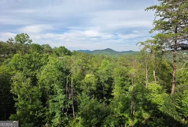 95 Ridgeline LN Mineral Bluff, GA 30559