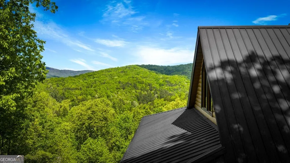 607 Rhonda LN Mineral Bluff, GA 30559