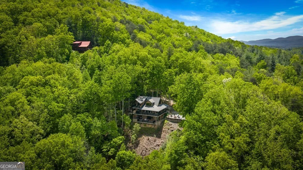 607 Rhonda LN Mineral Bluff, GA 30559