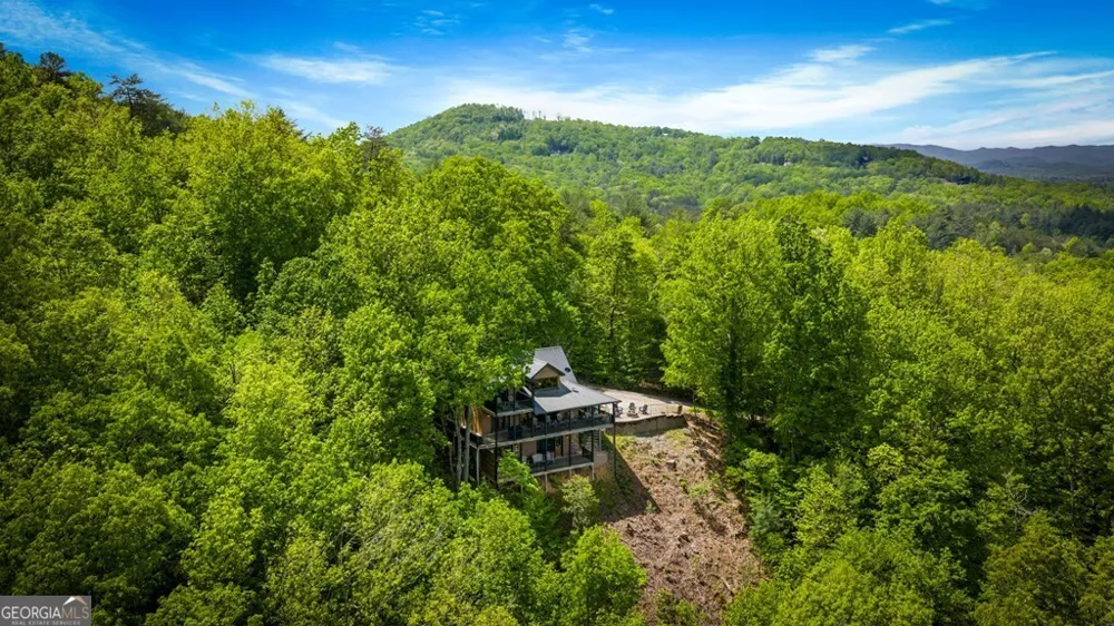 607 Rhonda LN Mineral Bluff, GA 30559