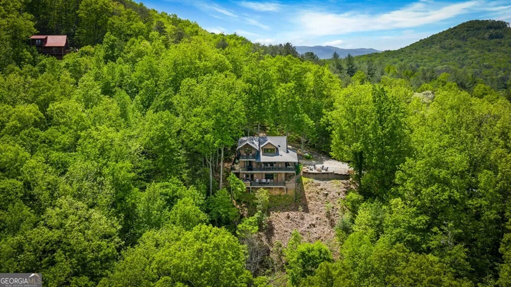 607 Rhonda LN Mineral Bluff, GA 30559