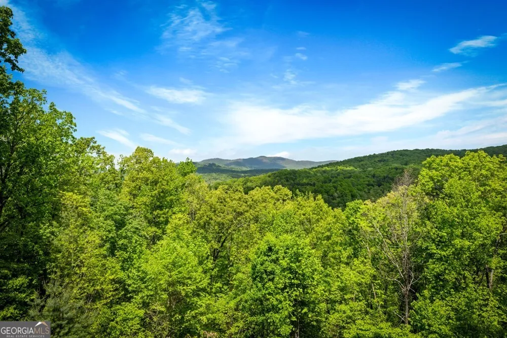 607 Rhonda LN Mineral Bluff, GA 30559