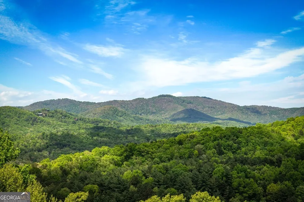 607 Rhonda LN Mineral Bluff, GA 30559