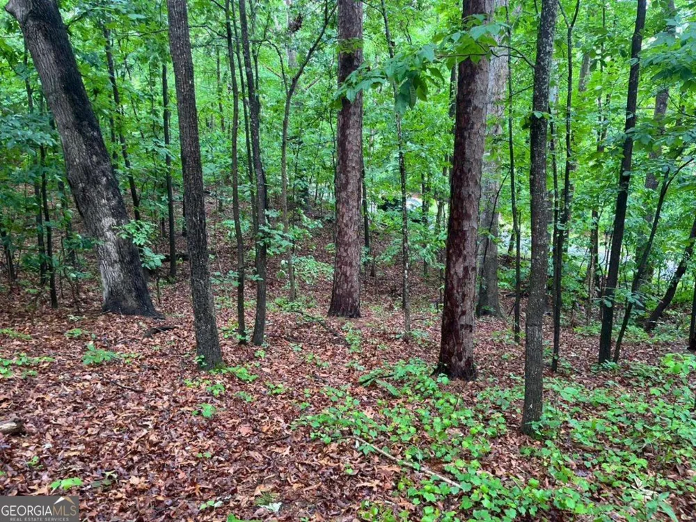0 Lake Club DR Lavonia, GA 30553