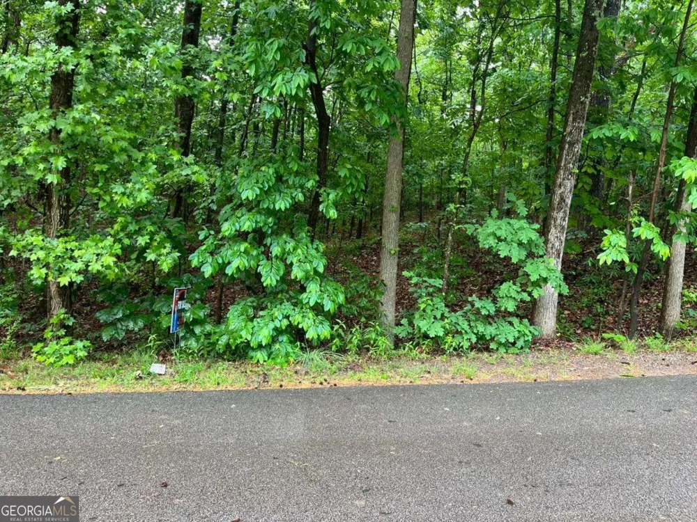 0 Lake Club DR Lavonia, GA 30553