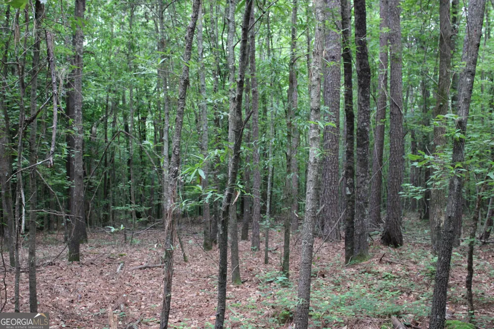 2 Garnett Ward RD Hull, GA 30646