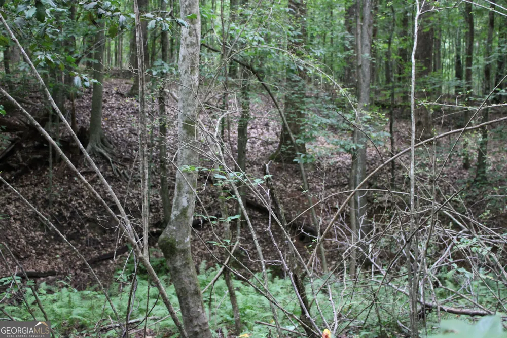 2 Garnett Ward RD Hull, GA 30646