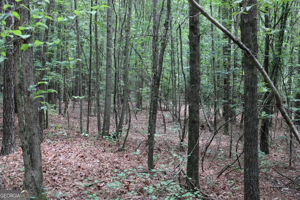 2 Garnett Ward RD Hull, GA 30646