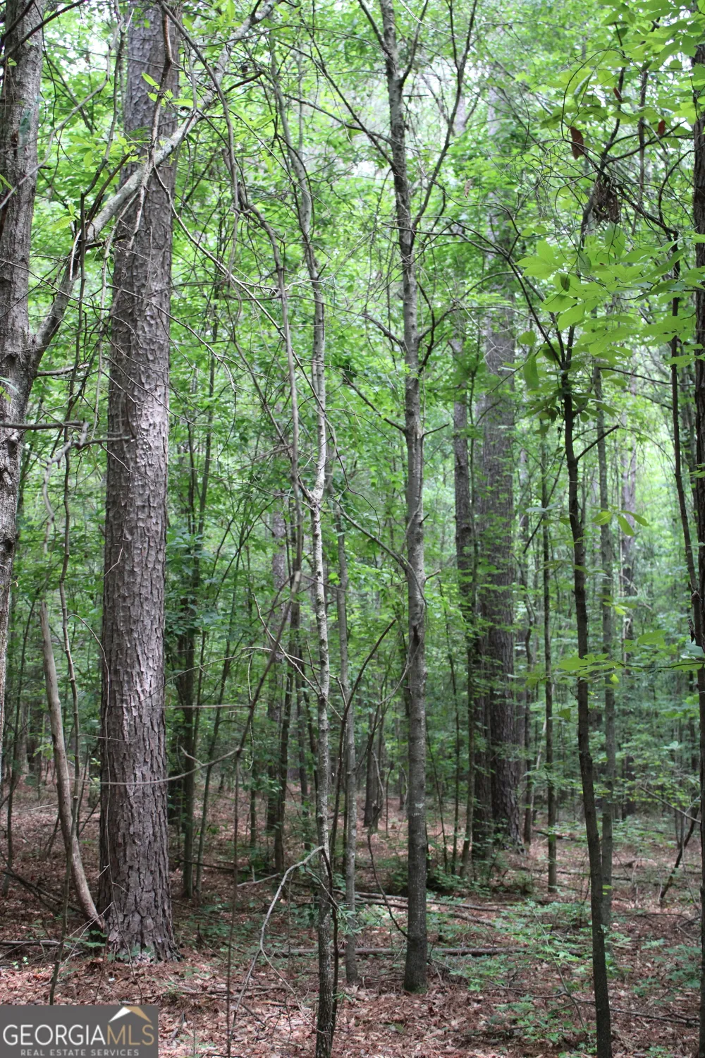 2 Garnett Ward RD Hull, GA 30646