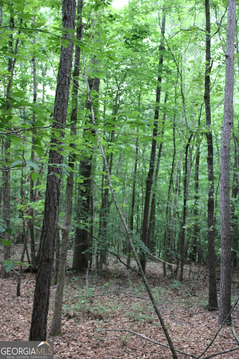 1 Garnett Ward RD Hull, GA 30646