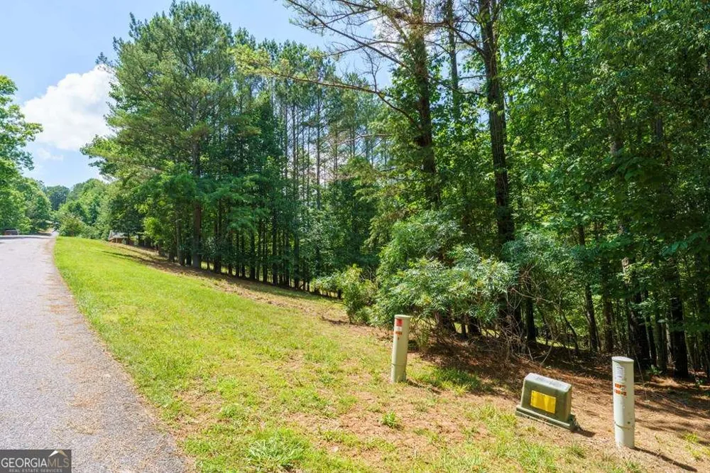 LOT 20 Loftis MTN Blairsville, GA 30512